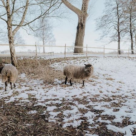 Our Farm Ferienwohnung Grasberg エクステリア 写真